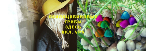 мяу мяу мука Абинск