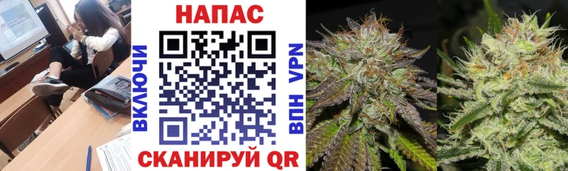 Шишки марихуана Amnesia Нелидово